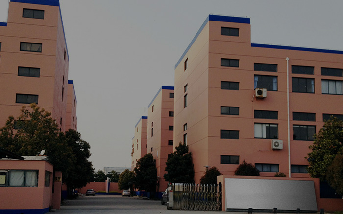 Company Profile