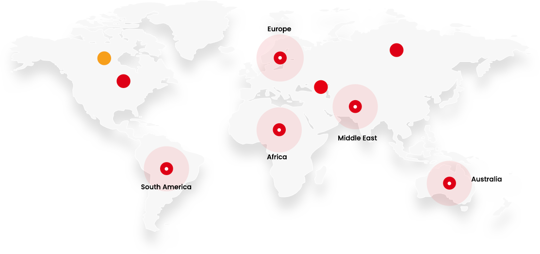Market and Sales Network