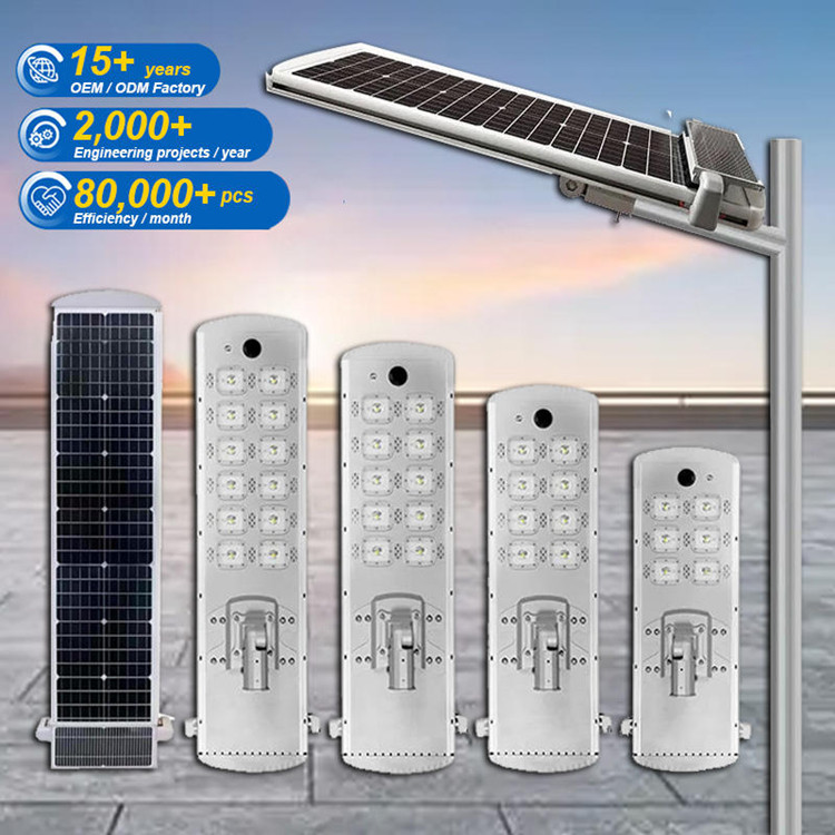 Integrated Solar LED Street Light with Timed Automatic Cleaning